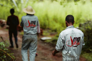 Huile Végétale Vierge de Tamanu (Calophyllum) SAKAY Pressée à Froid 100% Pure et Naturelle Qualité Cosmétique de Madagascar Bidon 30L - Product Image 3