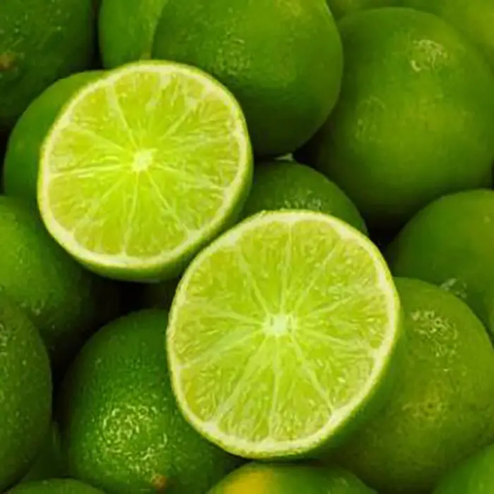 جودة الليمون الأخضر بدون بذور في فيتنام
