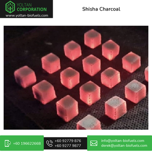 Fournisseur indonésien de charbon de bois de haute qualité 100% en coquille de noix de coco à haute chaleur - Product Image 6