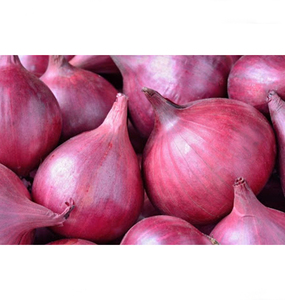 Cebolla roja fresca de alta calidad al por mayor Proveedores a granel Nueva cosecha Venta caliente a precio asequible - Product Image 5