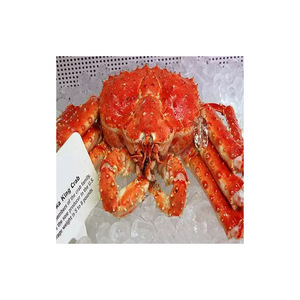 Cua Vua đỏ tươi tươi/đông lạnh/Cua Vua Đỏ Sống, cua vỏ mềm, cua bơi xanh & CUA TUYẾT-Bán buôn - Product Image 6