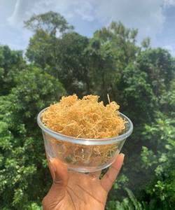 สินค้ายอดนิยม มอสทะเลจํานวนมากในราคาถูกจากเวียดนาม - Product Image 4