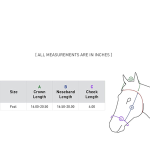 Licol pour poulains, colts et fillies, réglable, mini rembourrage doux, boucles en acier inoxydable et cuir robustes, noir - Product Image 2
