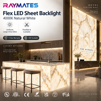 Bande LED ultra-fine RAYMATES UL 24V SMD2835, panneau de rétroéclairage LED, feuille LED flexible, dimmable pour plafond et îlot