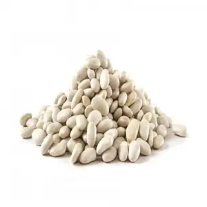 Wholesale Hot Selling Natural White Beans White Sugar Bean New Crop Kyrgyzstan Organic