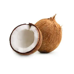 Supplier of Vietnam Semi Husked Coconut Anna