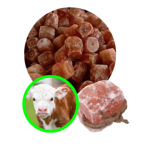 Sale leccata a lunga durata | Blocco animale per cavalli e pecore - Product Image 3