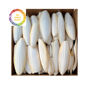 Cuttlebone a granel de Vietnam de alta calidad y súper barato para venta al por mayor - Product Image 2