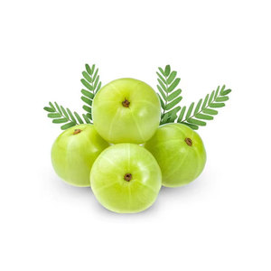 100% Natural Amla Indian Gooseberry Powder Mejor para hacer dulces Calidad alimentaria Amla Exportador - Product Image 4