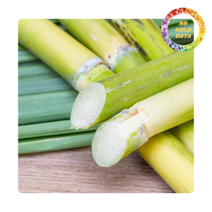 Varillas de caña de azúcar congeladas IQF | Listo para jugo fresco y batidos | Sabor dulce natural | Suministro a granel de Vietnam - Product Image 6