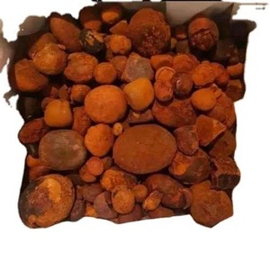 Buey natural sudafricano de alta calidad y cálculos biliares de ganado Extracto de animales puro Tipo de intestino para la venta - Product Image 2