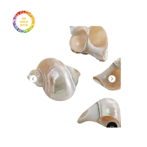 Servilleteros Seashell económicos de 99 Gold Data-Artesanía superior - Product Image 6