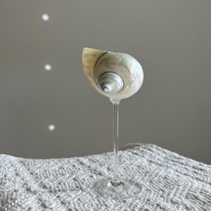 Elegante copa de vino hecha de concha marina para bodas costeras, decoración de comedor y pedidos al por mayor a granel - Product Image 2