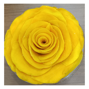 Vente chaude de mangues séchées à saveur naturelle au meilleur prix, délicieuse mangue séchée douce de 100% mangues tropicales fraîches au Vietnam - Product Image 2