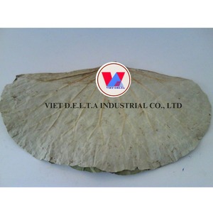 ใบบัวแห้ง2024เวียดนามเป็นมิตรกับสิ่งแวดล้อม - Product Image 4