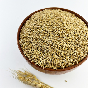 Graines d'alpiste en gros pour canaris, grimpets jaunes et pinsons verts – Prix de gros pour graines de canaris - Product Image 1