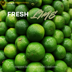 Exportador a granel de Lima fresca sin semillas y sin semillas del proveedor de cítricos de Vietnam - Product Image 5