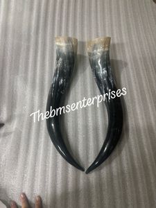 Par de cuernos de ganado reales, par de cuernos de ganado decorativos, par de cuernos de ganado vintage, cuernos de ganado antiguos, pares de cuernos de decoración del hogar - Product Image 2