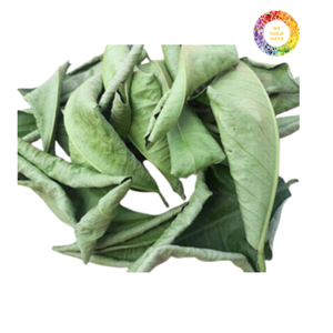 Dried Pomelo Leaves from Vietnam Wholesale Citrus Leaf Product for Tea and Aroma Use - Product Image 4