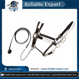 Cabestro de caballo estilo sillín australiano de alta calidad, cuero blanco suave acolchado con hebillas y plomo de cuero con combinación de cadena - Product Image 6