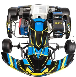 El Mejor GoKart Eléctrico de Carreras BSR Pro 2025, X5 de Alto Rendimiento, Motor de 500cc/110cc/1000w/350w, Nuevo Buggy para Uso en Exteriores - Product Image 5