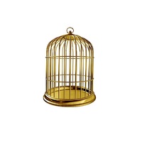 Cage à oiseaux Antique en laiton nouveau Design décoration fantaisie meilleure qualité luxe vente en gros décoration Cage à oiseaux couleur or