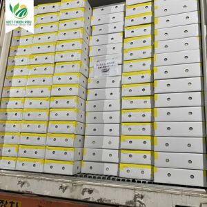 PIÑA CONGELADA: MEJOR CALIDAD-MEJOR PRECIO-PRODUCTO CALIENTE EN VERANO-FRUTAS TROPICALES DE VIETNAM - Product Image 6