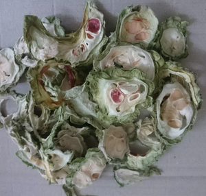 มะระแตงโมอบแห้งจากเวียดนามวัสดุธรรมชาติบริสุทธิ์สำหรับแช่เครื่องดื่มและสารเติมแต่งสำหรับทำอาหาร - Product Image 6