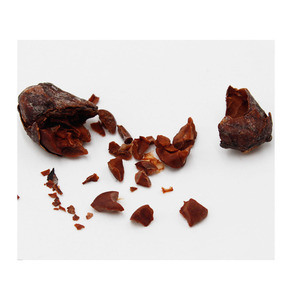 Granos de cacao tostados con alto contenido de flavanol para la producción de chocolate negro al por mayor, bolsa de 1 kg - Product Image 3