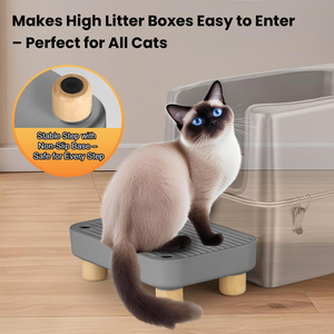 Bước hộp xả rác cho hệ thống tự động, vật liệu PP với đế chống trượt, OEM/ODM cho các thương hiệu và nhà phân phối thú cưng - Product Image 6