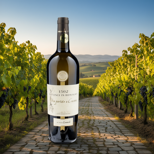"Premium Italian Sauvignon IGT White <b>Wine</b> 750ml 6 Bottles Per Box Made in Italy Crisp & Aromatic" - Product Image 3