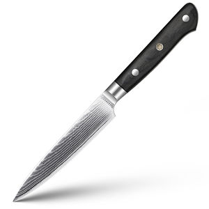 Cuchillo de Cocina Profesional de 5 Pulgadas, 67 Capas de Acero Damasco AUS-10, Cuchillo para Pelar y Cortar Frutas con Mango Azul G10 - Product Image 1