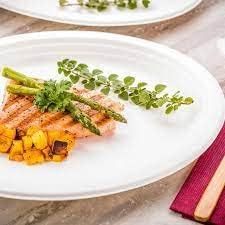 9 Inches Eco-Friendly 100% Biodegradable Compostable Sugarcane Fiber Disposable <b>Plates</b> Stocked for Cafes Events Takeout - Product Image 5