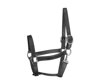 Theo Dõi Phong Cách Da Turnout Halter W/Snap Ngựa Halter Màu Xanh Ngựa Halter Ly Ly Ly Ly Thay Thế Dây Đeo Gấp