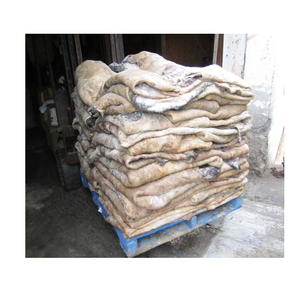 Pork Skin/Hides Wet Salted - Ready-to-Use Raw Materials for Leather Manufacturing - High-Quality Hides for Leather - Product Image 5