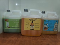 Huile de croissance capillaire vegan biologique intensive avec gingembre et ingrédients à base de plantes pour une repousse plus rapide et des soins capillaires professionnels