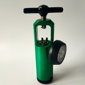 Regolatore di ossigeno medicale regolatore di alta qualità popolare CGA 870 - Product Image 2
