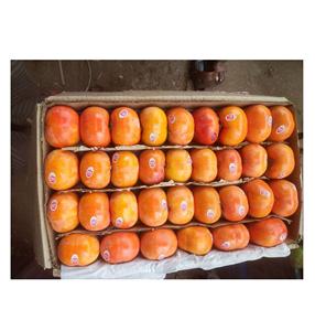 Vente de Gros Fruits Frais Kaki - Product Image 1