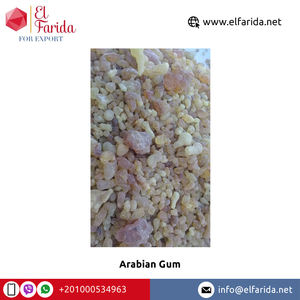Confiserie de gomme arabique de qualité supérieure de haute qualité meilleure vente prix de gros auprès d'un exportateur de confiance - Product Image 5