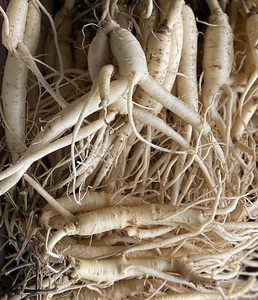 Racine de Codonopsis confite de qualité supérieure, collation à base de plantes vietnamienne conservée, pour cadeau - Product Image 1