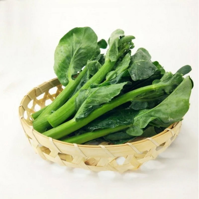 Organic Baby Kale High Quality Certified IFOAM and USDA Export Wholesale Vegetable