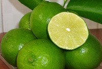 Verse Vietnam Pitloze Limoen Premium Kwaliteit Groene Limoenen Bulkvoorraad Voor Export Culinaire Voedselmarkt Groothandel Drank