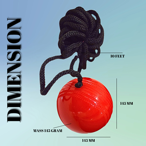 Pelotas de práctica de críquet personalizadas de alta calidad y baratas para niños y adultos, cinta duradera dura de PVC para colgar bolas personalizadas - Product Image 6