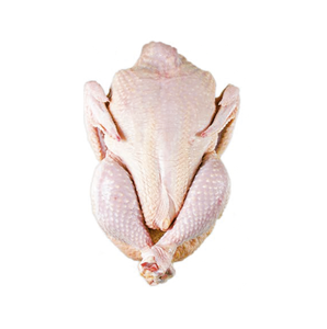 ไก่ทั้งตัวแช่แข็ง ฮาลาล คุณภาพบริสุทธิ์ 100% |   ไก่แช่แข็งทั้งตัวและเป็นชิ้นๆ ในราคาขายส่งที่ถูกที่สุด - Product Image 1