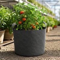 Sac de culture en feutre non tissé avec poignées pour 10 gallons, idéal pour la plantation de tomates en serre ou en extérieur, écologique, vente en gros usine