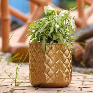 Jardinières en fer, design précieux, jardinière en métal, courbée à la main, jardinières décoratives, décoration de jardin à domicile - Product Image 2