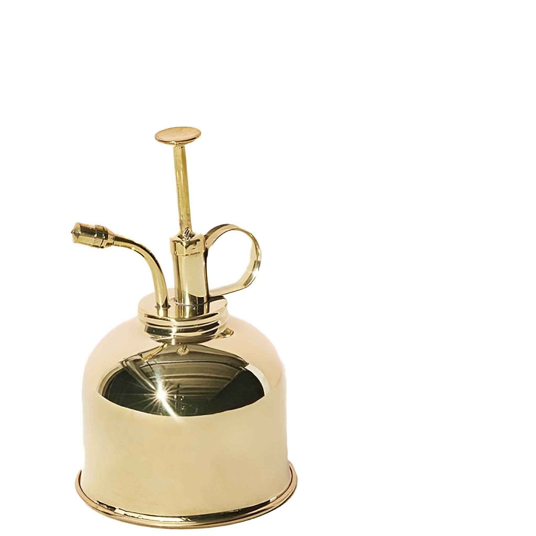 ตามที่แสดง