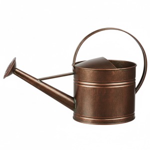 Arrosoir en métal finition cuivre antique avec poignée pour plantes d'intérieur et d'extérieur, fournitures d'eau au look vintage - Product Image 1