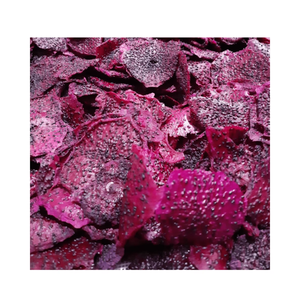 High Quality Freeze Dried Dragon Fruit Red Dragon Fruit Dices From Vietnam - Product Image 5