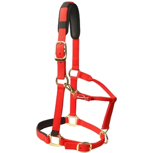 Collier de tête en cuir rembourré de haute qualité laiton noir marron Cob Full Halter avec Logo personnalisé pour l'équitation utilisation équestre - Product Image 4